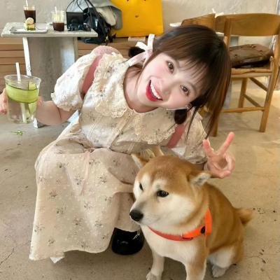 美食妙探