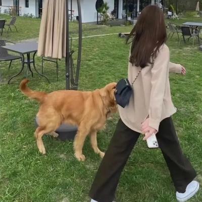 中国的战争